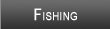 Demopolis Lake Fishing